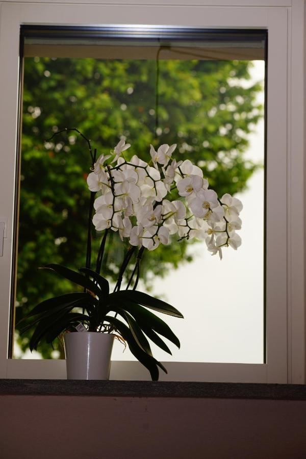Casa Vola Bed & Breakfast Cuneo Exterior photo